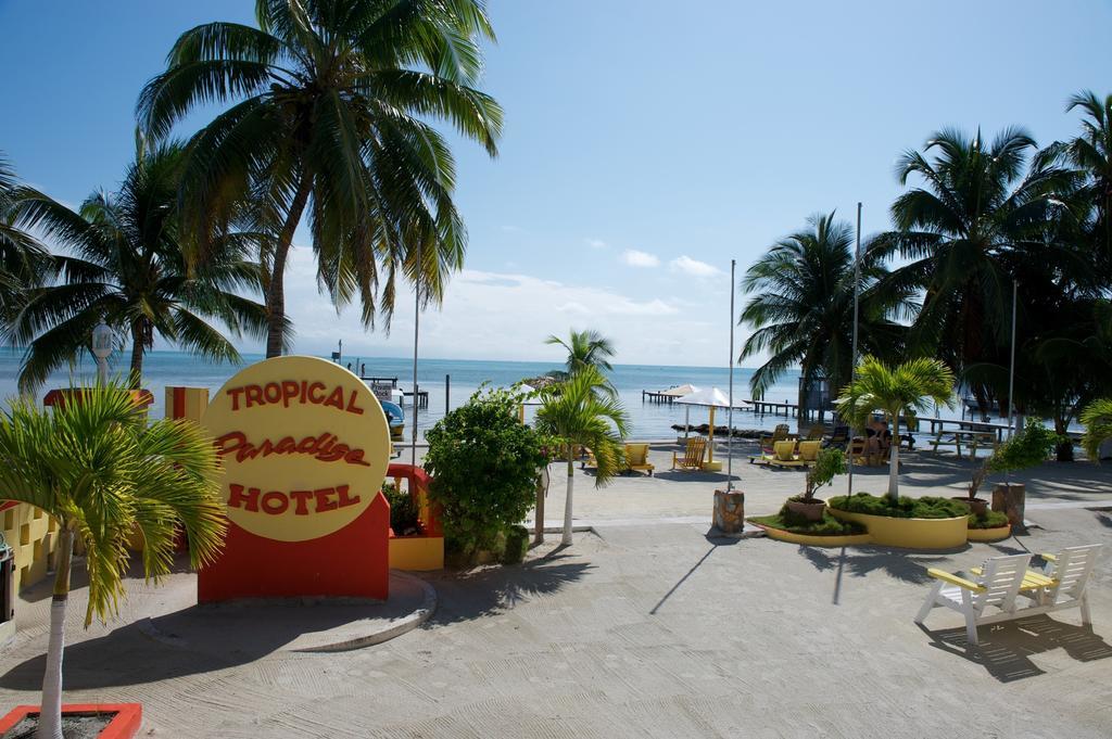 Tropical Paradise Caye Caulker Rom bilde
