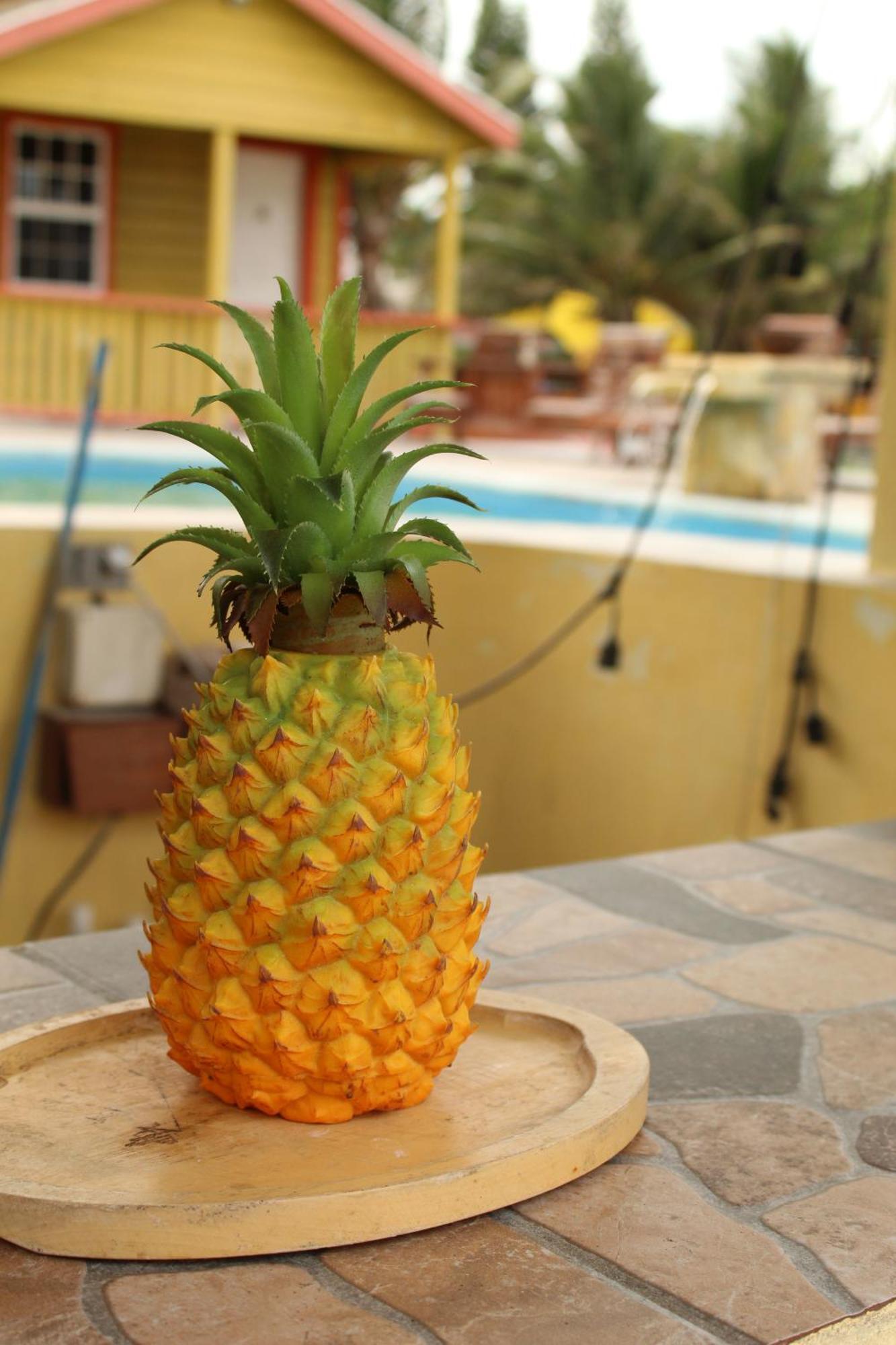 Tropical Paradise Caye Caulker Eksteriør bilde