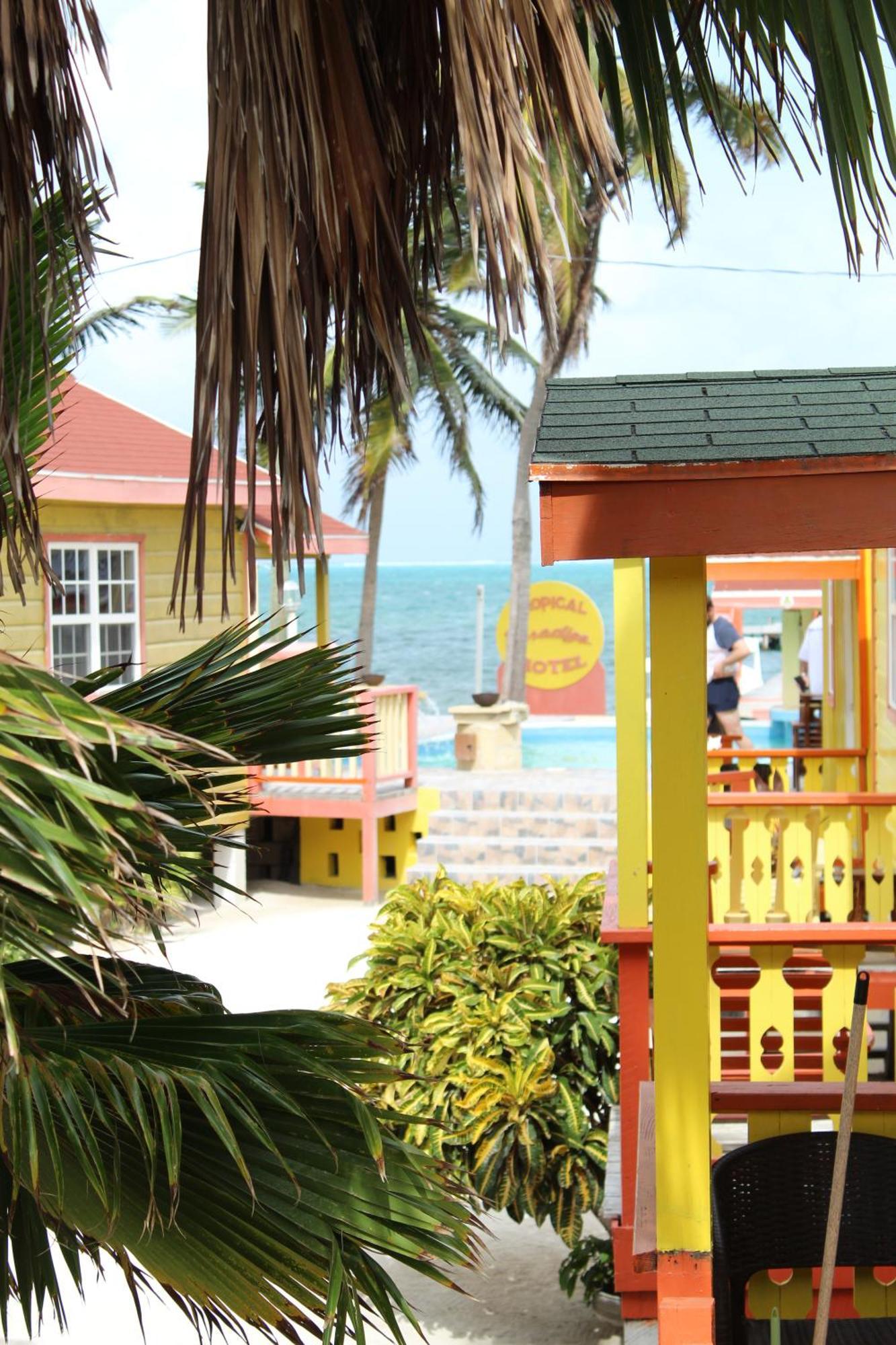 Tropical Paradise Caye Caulker Eksteriør bilde